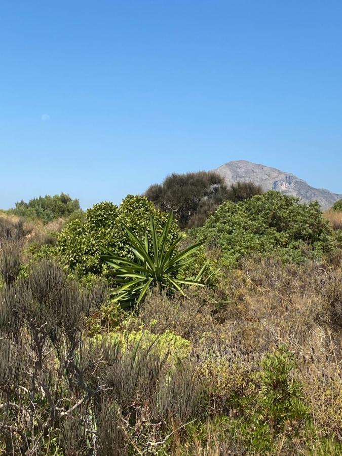 Vistas Al Mar Playa De Los Bovetes Denia Eksteriør bilde